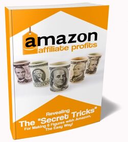 Amazon Affiliate Profits small
